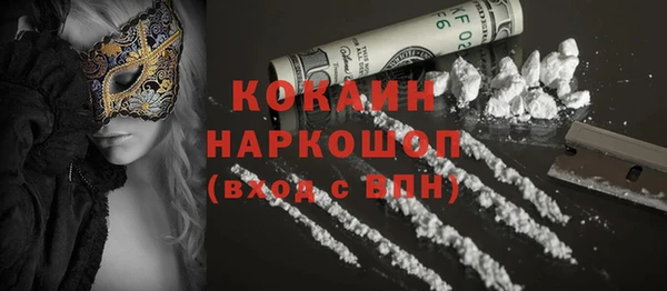 гашик Михайловка