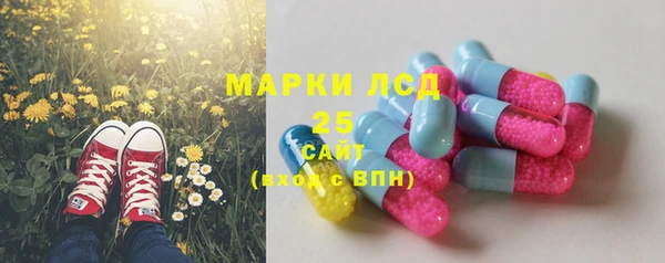 PSILOCYBIN Михайловск