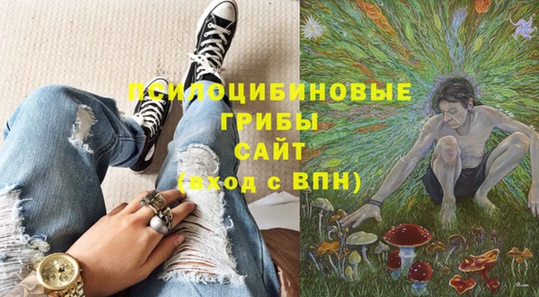 гашик Михайловка