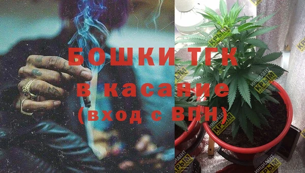 гашик Михайловка
