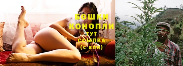 гашик Михайловка