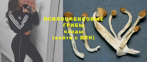 гашик Михайловка