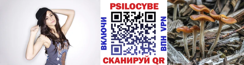 дарнет шоп  Иваново  Галлюциногенные грибы Magic Shrooms 